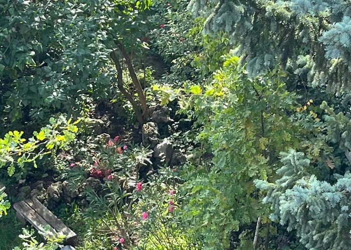 Mandula Vendeghaz Eger