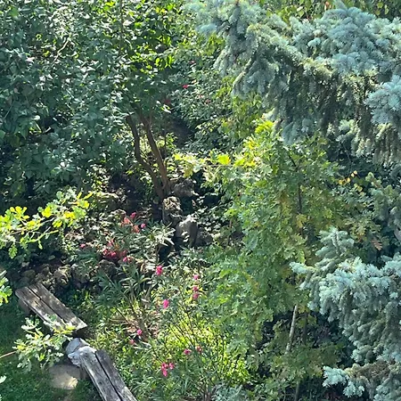 Mandula Vendeghaz Eger