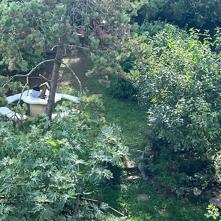 Mandula Vendeghaz Apartmán